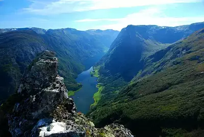 Тестовая статья